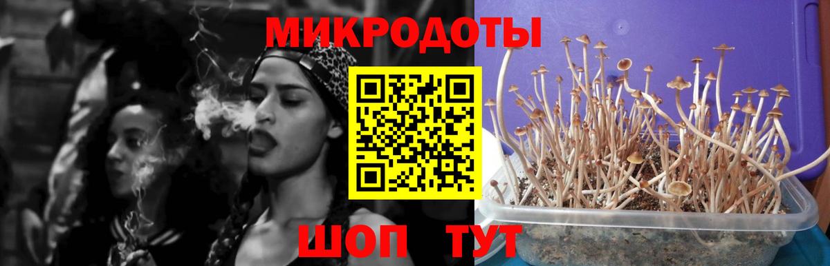 Псилоцибиновые грибы GOLDEN TEACHER  Вход с VPN  Россошь  Галлюциногенные грибы Psilocybe 